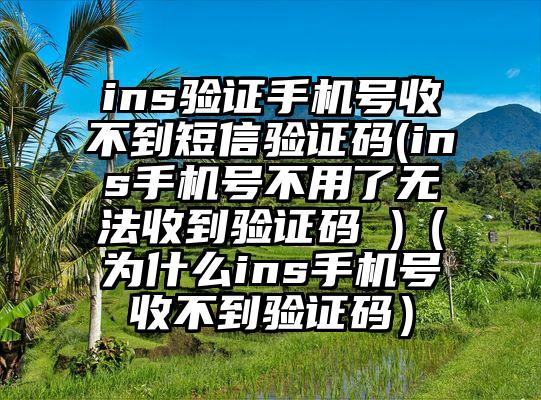 ins验证手机号收不到短信验证码(ins手机号不用了无法收到验证码 )（为什么ins手机号收不到验证码）