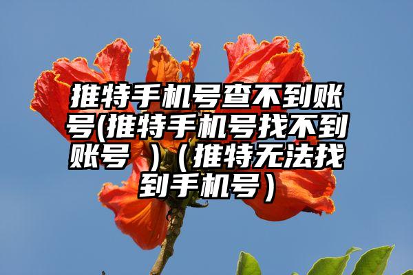 推特手机号查不到账号(推特手机号找不到账号 )（推特无法找到手机号）