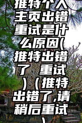 推特个人主页出错重试是什么原因(推特出错了 重试 )(推特出错了,请稍后重试)