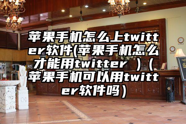 苹果手机怎么上twitter软件(苹果手机怎么才能用twitter )(苹果手机可以用twitter软件吗)
