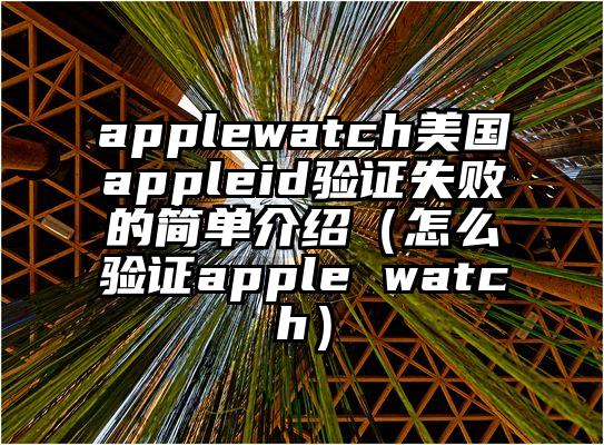 applewatch美国appleid验证失败的简单介绍（怎么验证apple watch）