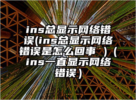 ins总显示网络错误(ins总显示网络错误是怎么回事 )（ins一直显示网络错误）