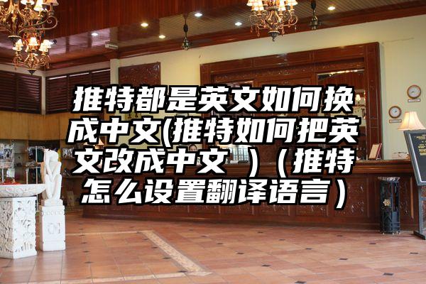 推特都是英文如何换成中文(推特如何把英文改成中文 )（推特怎么设置翻译语言）