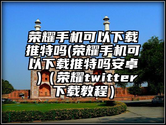 荣耀手机可以下载推特吗(荣耀手机可以下载推特吗安卓 )（荣耀twitter下载教程）