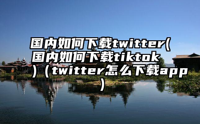 国内如何下载twitter(国内如何下载tiktok )（twitter怎么下载app）