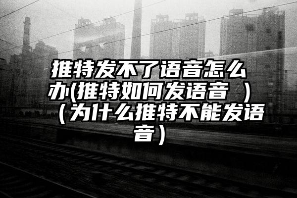 推特发不了语音怎么办(推特如何发语音 )（为什么推特不能发语音）