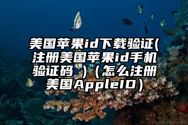 美国苹果id下载验证(注册美国苹果id手机验证码 )（怎么注册美国AppleID）