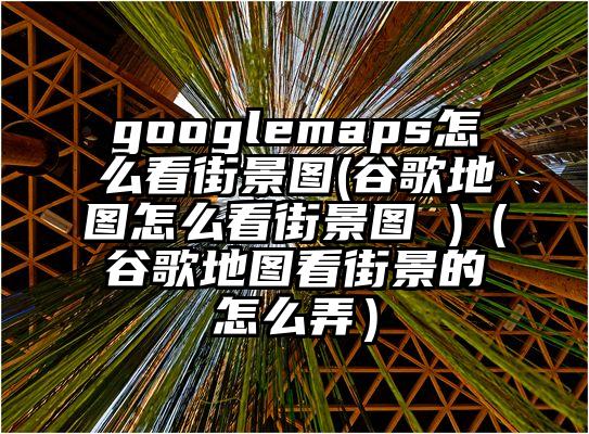googlemaps怎么看街景图(谷歌地图怎么看街景图 )（谷歌地图看街景的怎么弄）