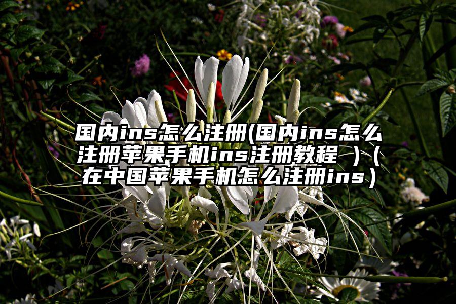 国内ins怎么注册(国内ins怎么注册苹果手机ins注册教程 )（在中国苹果手机怎么注册ins）