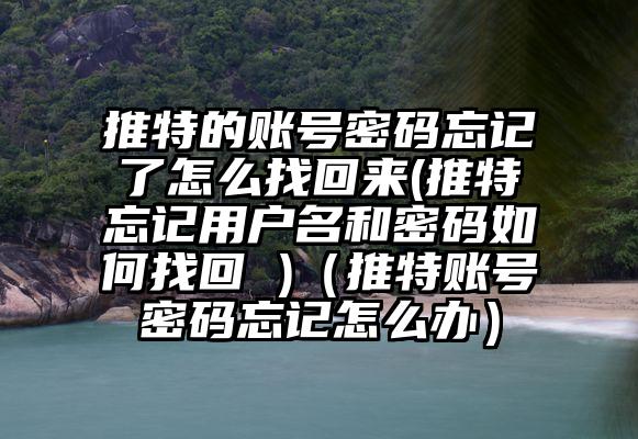 推特的账号密码忘记了怎么找回来(推特忘记用户名和密码如何找回 )（推特账号密码忘记怎么办）