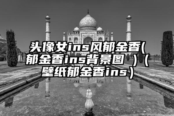 头像女ins风郁金香(郁金香ins背景图 )(壁纸郁金香ins)