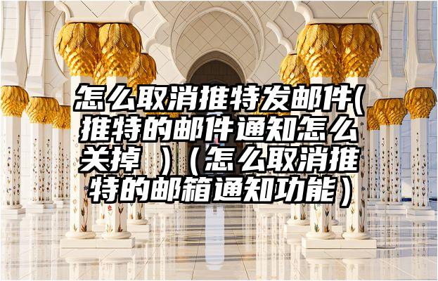 怎么取消推特发邮件(推特的邮件通知怎么关掉 )（怎么取消推特的邮箱通知功能）