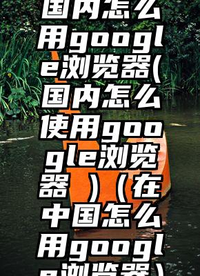 国内怎么用google浏览器(国内怎么使用google浏览器 )（在中国怎么用google浏览器）