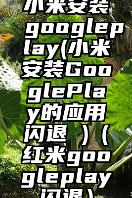 小米安装googleplay(小米安装GooglePlay的应用闪退 )（红米googleplay闪退）