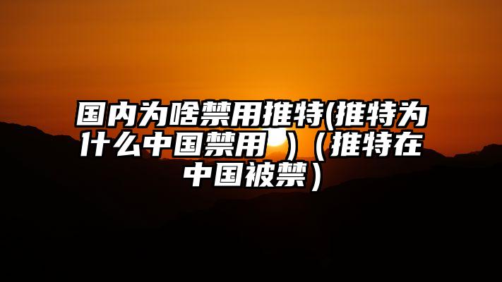 国内为啥禁用推特(推特为什么中国禁用 )（推特在中国被禁）