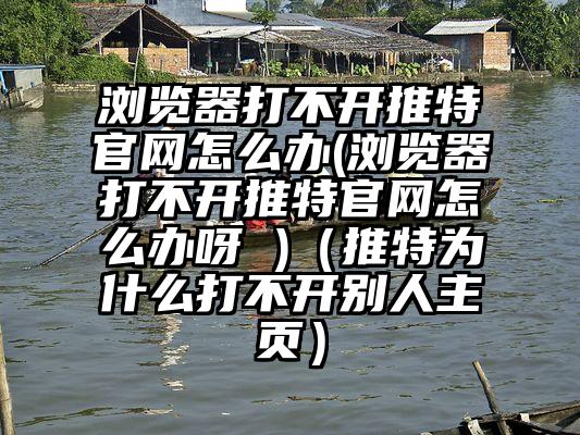浏览器打不开推特官网怎么办(浏览器打不开推特官网怎么办呀 )（推特为什么打不开别人主页）