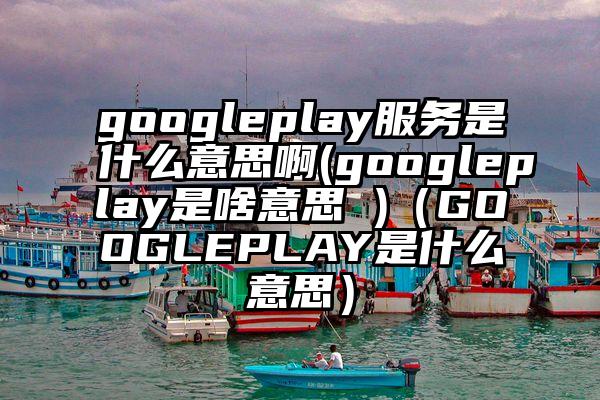 googleplay服务是什么意思啊(googleplay是啥意思 )（GOOGLEPLAY是什么意思）