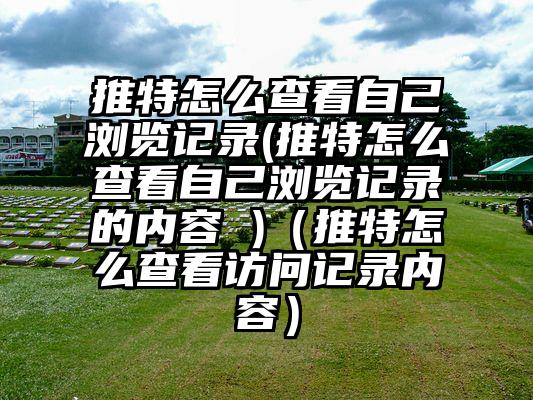 推特怎么查看自己浏览记录(推特怎么查看自己浏览记录的内容 )（推特怎么查看访问记录内容）