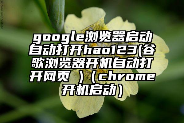google浏览器启动自动打开hao123(谷歌浏览器开机自动打开网页 )(chrome开机启动)