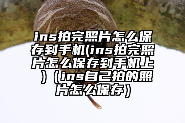 ins拍完照片怎么保存到手机(ins拍完照片怎么保存到手机上 )（ins自己拍的照片怎么保存）