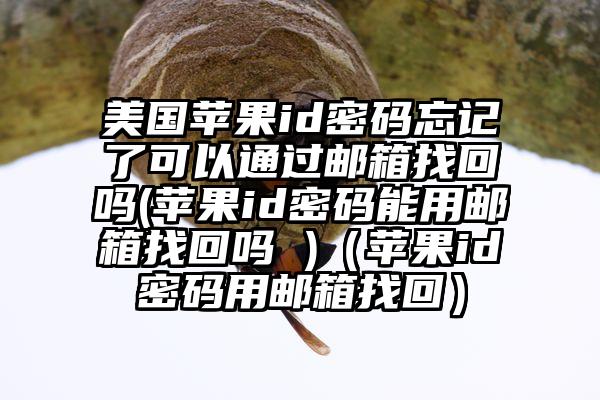 美国苹果id密码忘记了可以通过邮箱找回吗(苹果id密码能用邮箱找回吗 )（苹果id密码用邮箱找回）