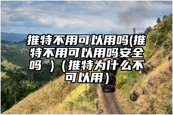 推特不用可以用吗(推特不用可以用吗安全吗 )（推特为什么不可以用）