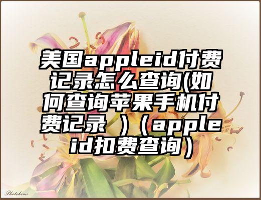 美国appleid付费记录怎么查询(如何查询苹果手机付费记录 )（appleid扣费查询）