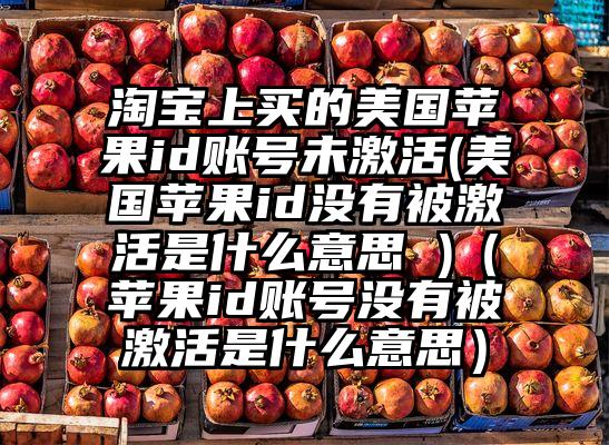 淘宝上买的美国苹果id账号未激活(美国苹果id没有被激活是什么意思 )（苹果id账号没有被激活是什么意思）