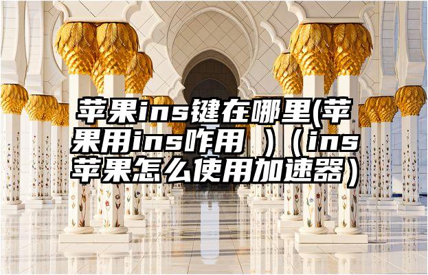 苹果ins键在哪里(苹果用ins咋用 )（ins苹果怎么使用加速器）