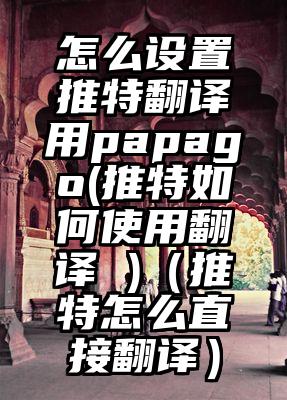 怎么设置推特翻译用papago(推特如何使用翻译 )（推特怎么直接翻译）