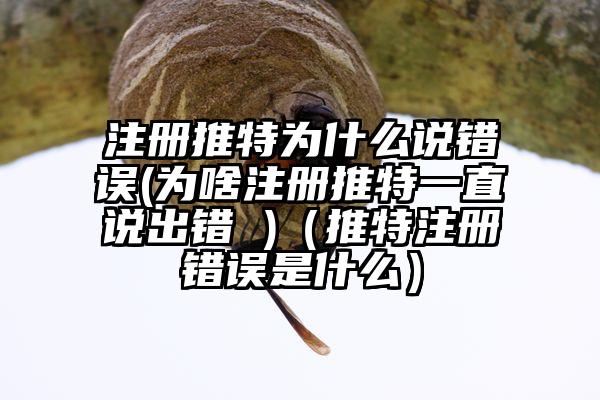 注册推特为什么说错误(为啥注册推特一直说出错 )（推特注册错误是什么）
