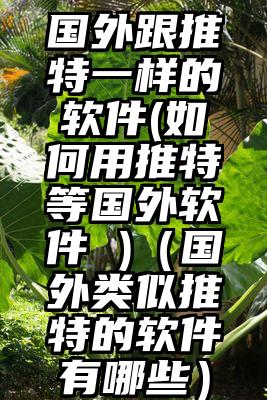 国外跟推特一样的软件(如何用推特等国外软件 )(国外类似推特的软件有哪些)