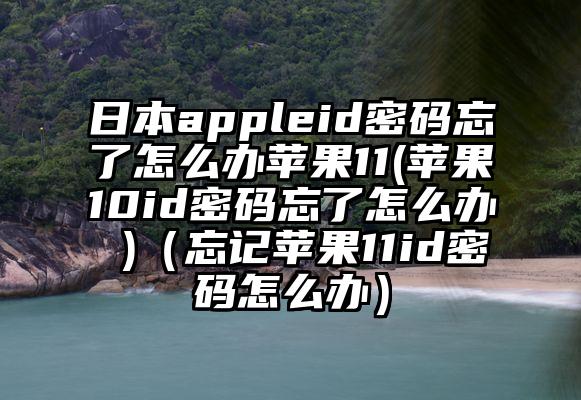日本appleid密码忘了怎么办苹果11(苹果10id密码忘了怎么办 )（忘记苹果11id密码怎么办）