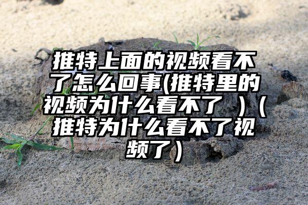 推特上面的视频看不了怎么回事(推特里的视频为什么看不了 )（推特为什么看不了视频了）