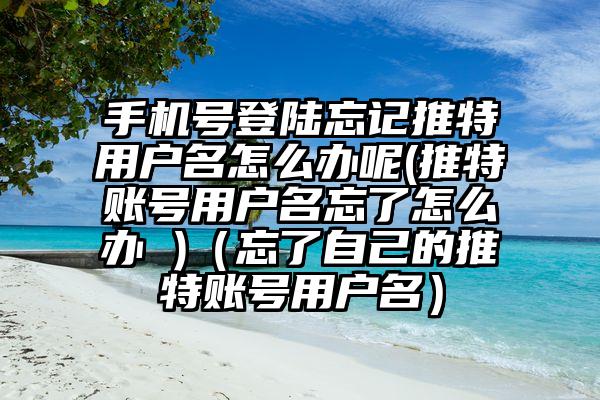 手机号登陆忘记推特用户名怎么办呢(推特账号用户名忘了怎么办 )（忘了自己的推特账号用户名）