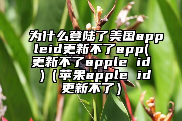 为什么登陆了美国appleid更新不了app(更新不了apple id )（苹果apple id更新不了）