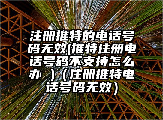 注册推特的电话号码无效(推特注册电话号码不支持怎么办 )（注册推特电话号码无效）
