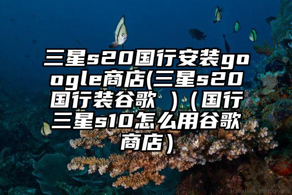 三星s20国行安装google商店(三星s20国行装谷歌 )（国行三星s10怎么用谷歌商店）