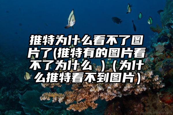 推特为什么看不了图片了(推特有的图片看不了为什么 )（为什么推特看不到图片）