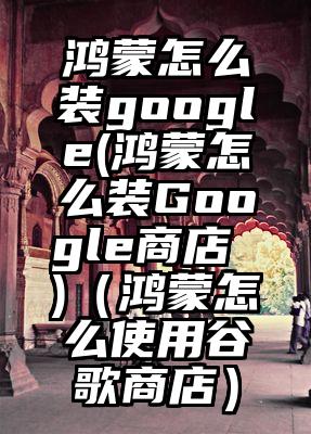 鸿蒙怎么装google(鸿蒙怎么装Google商店 )（鸿蒙怎么使用谷歌商店）