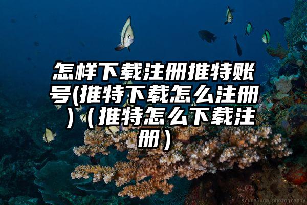 怎样下载注册推特账号(推特下载怎么注册 )（推特怎么下载注册）