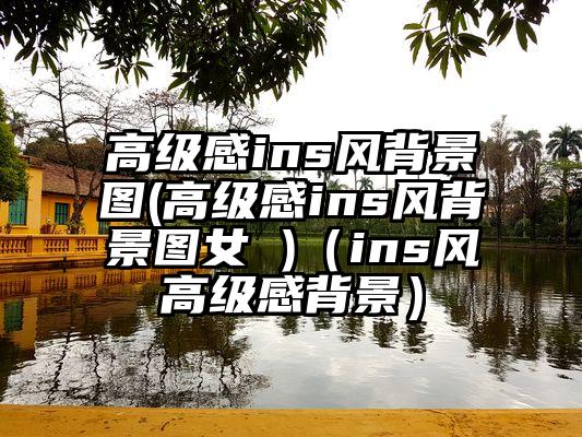 高级感ins风背景图(高级感ins风背景图女 )(ins风高级感背景)