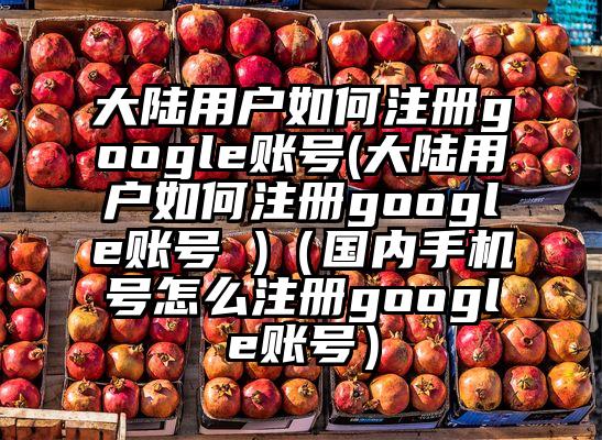 大陆用户如何注册google账号(大陆用户如何注册google账号 )（国内手机号怎么注册google账号）