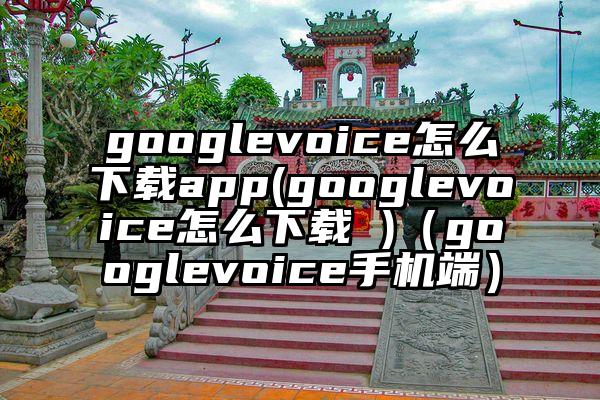 googlevoice怎么下载app(googlevoice怎么下载 )（googlevoice手机端）