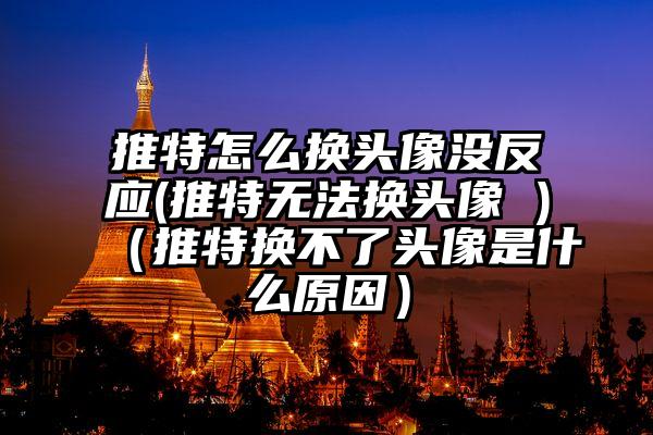 推特怎么换头像没反应(推特无法换头像 )（推特换不了头像是什么原因）