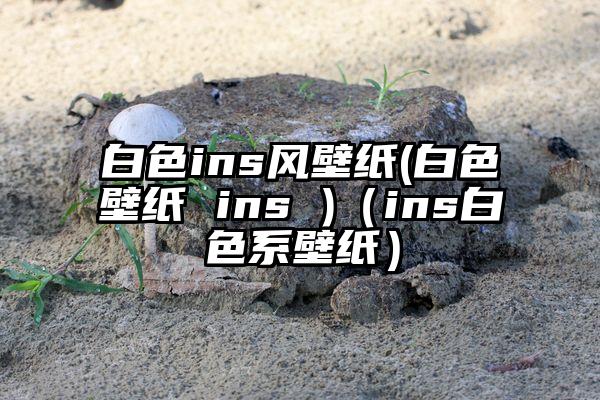 白色ins风壁纸(白色壁纸 ins )（ins白色系壁纸）