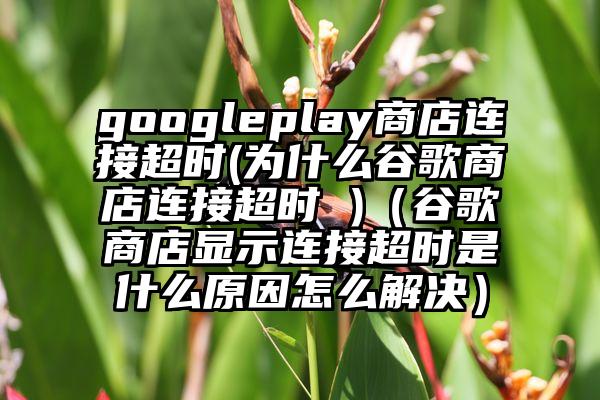 googleplay商店连接超时(为什么谷歌商店连接超时 )（谷歌商店显示连接超时是什么原因怎么解决）