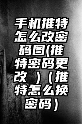 手机推特怎么改密码图(推特密码更改 )（推特怎么换密码）