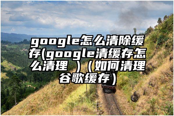 google怎么清除缓存(google清缓存怎么清理 )（如何清理谷歌缓存）