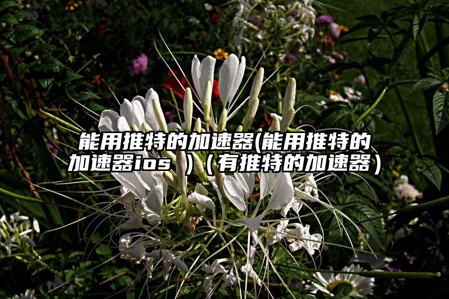 能用推特的加速器(能用推特的加速器ios )（有推特的加速器）